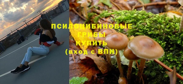 амф Алексин